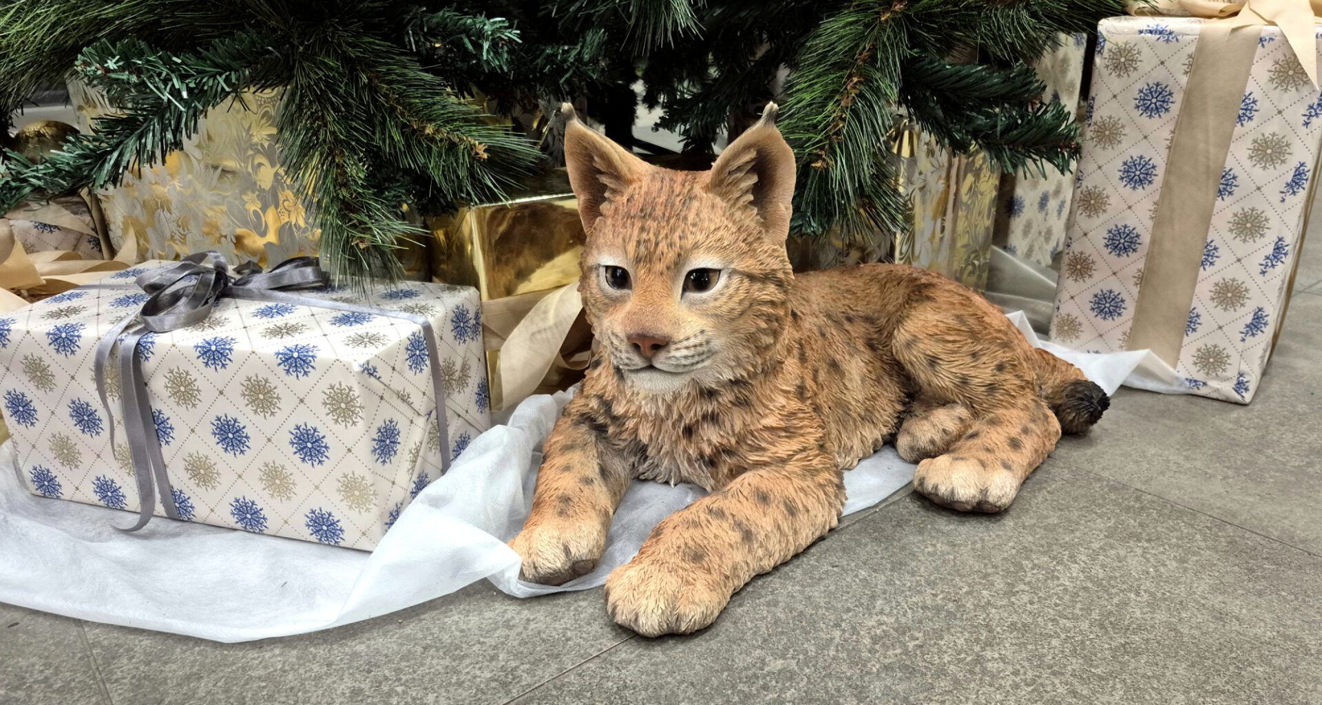 Ziemassvētku nedēļā Jēkabpils pusē gan koncerti, gan sportiskas aktivitātes svētku gaisotnē / Jēkabpils Laiks: Jēkabpils ziņas