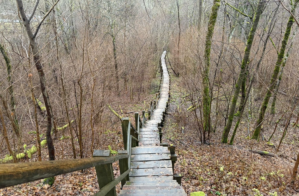 Garajās brīvdienas ir vērts laiku atvēlēt arī pastaigām dabā / LR1 / / Latvijas Radio