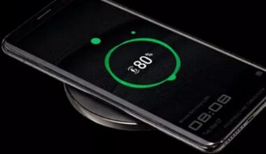 eksperimenta rezultāti pēc viena gada lietošanas