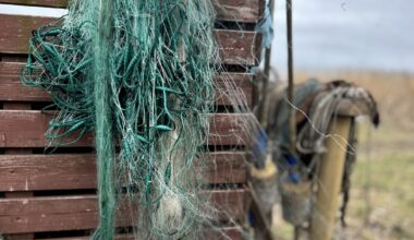 Jūras liegumu plāna labojums varētu tapt pusgada laikā; zvejnieki negrasās pieļaut aroda iznīcību / Raksts