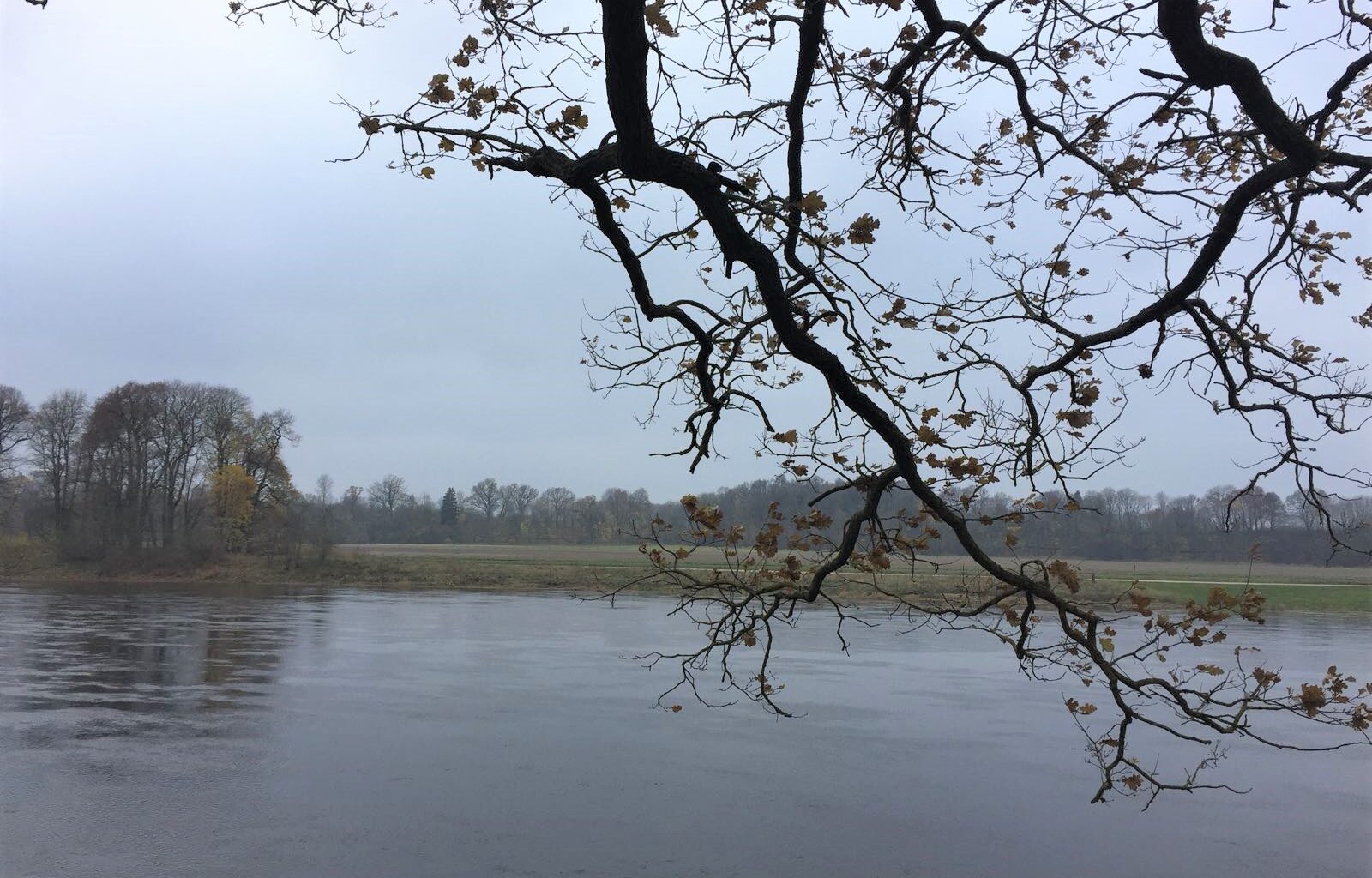 Jaunā darba nedēļa sāksies ar pelēku pirmdienu