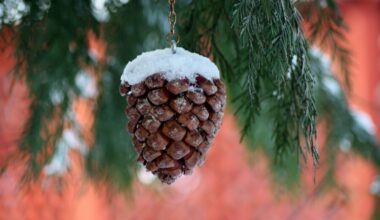 kā pavadīt šo dienu, lai viss gads būtu laimīgs- ticējumi, rituāli un aizliegumi