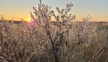 Vecgada dienā valdīs sals un daudzviet uzspīdēs saule / Raksts