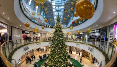 Ziemassvētku egle iepirkšanas centrā Viļņā, 2025.gada novembris