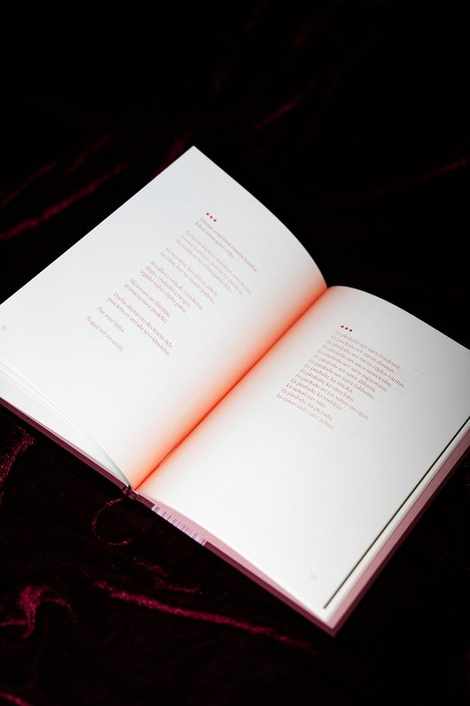 Kristīnes Stakenas grāmata "Šis nav mans žanrs. Māmiņdzeja"