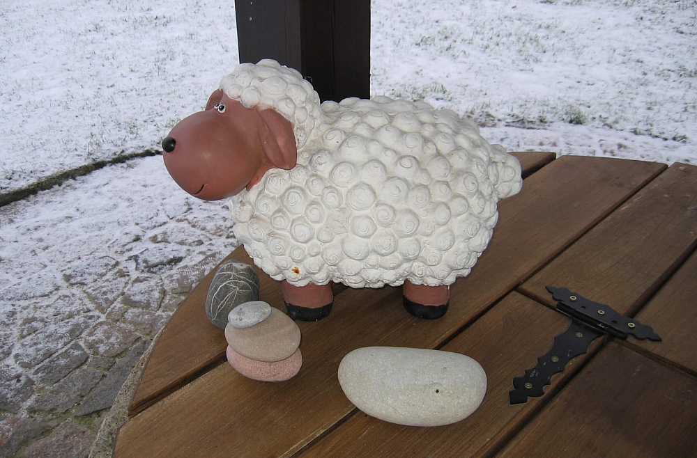 Ciemos Purvinsku ģimenes saimniecībā.