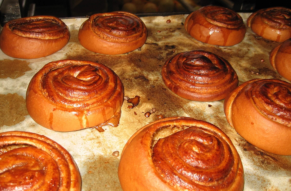 Ciemos Purvinsku ģimenes saimniecībā.