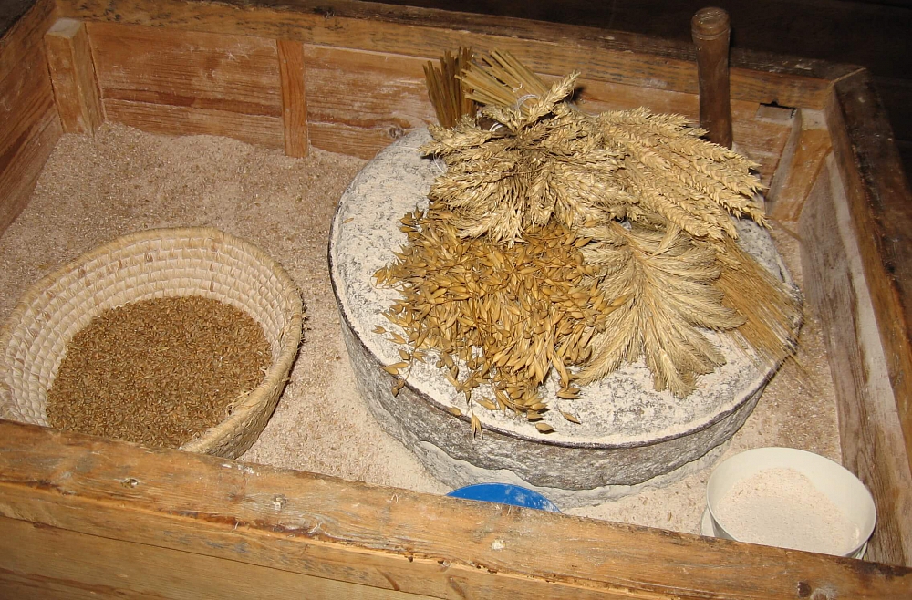 Ciemos Purvinsku ģimenes saimniecībā.