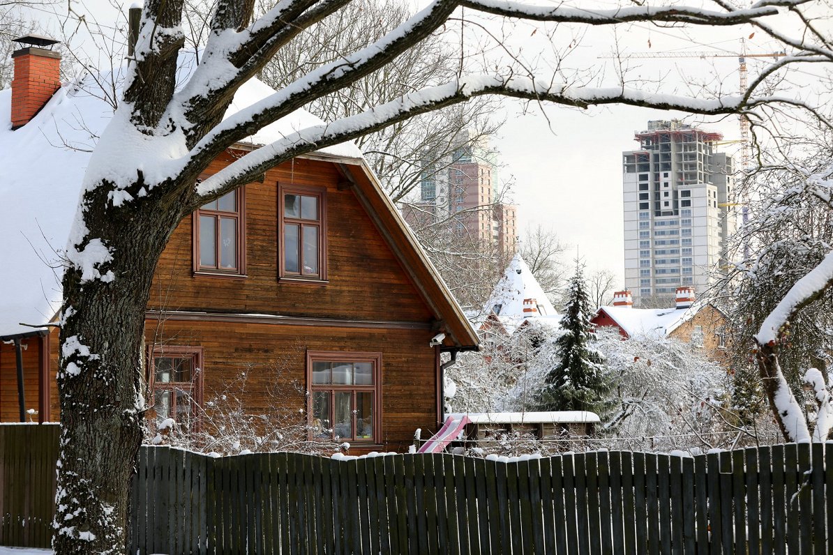 Koka ēka ziemā