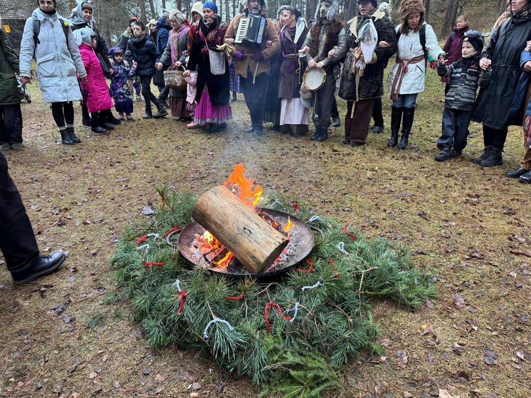 Brīvdabas muzejā izveidota Ziemassvētku gaismas taka / Raksts