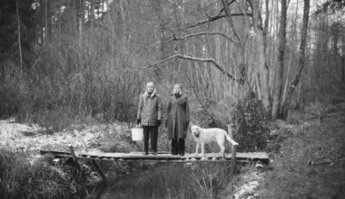 nevis tikai pozitīvi afišēto pusi, bet par iekšpusi / Raksts