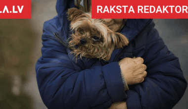 “Lūk, kāda cilvēcība mūsu valstī!” Sarmīti un vēl 138 000 bērnu mammas Latvijā Saeima tikko nobalsoja apšmaukt un pamest likteņa varā