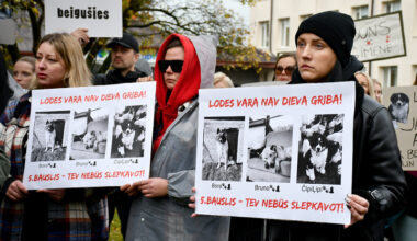 Par trīs suņu nošaušanu Bauskas novadā Valsts policija rosina apsūdzēt četras personas