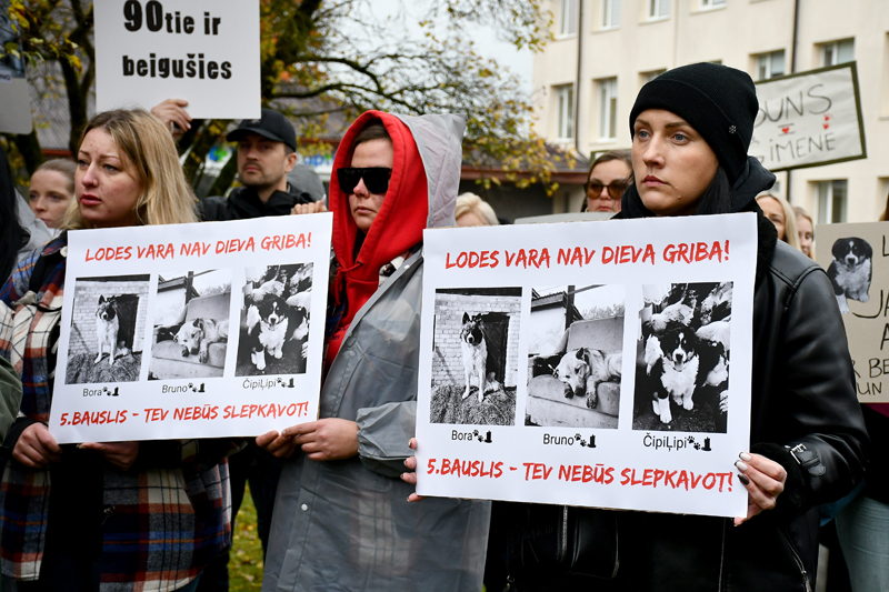 Par trīs suņu nošaušanu Bauskas novadā Valsts policija rosina apsūdzēt četras personas