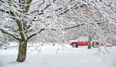 atklāj, cik zemu noslīdēs temperatūra