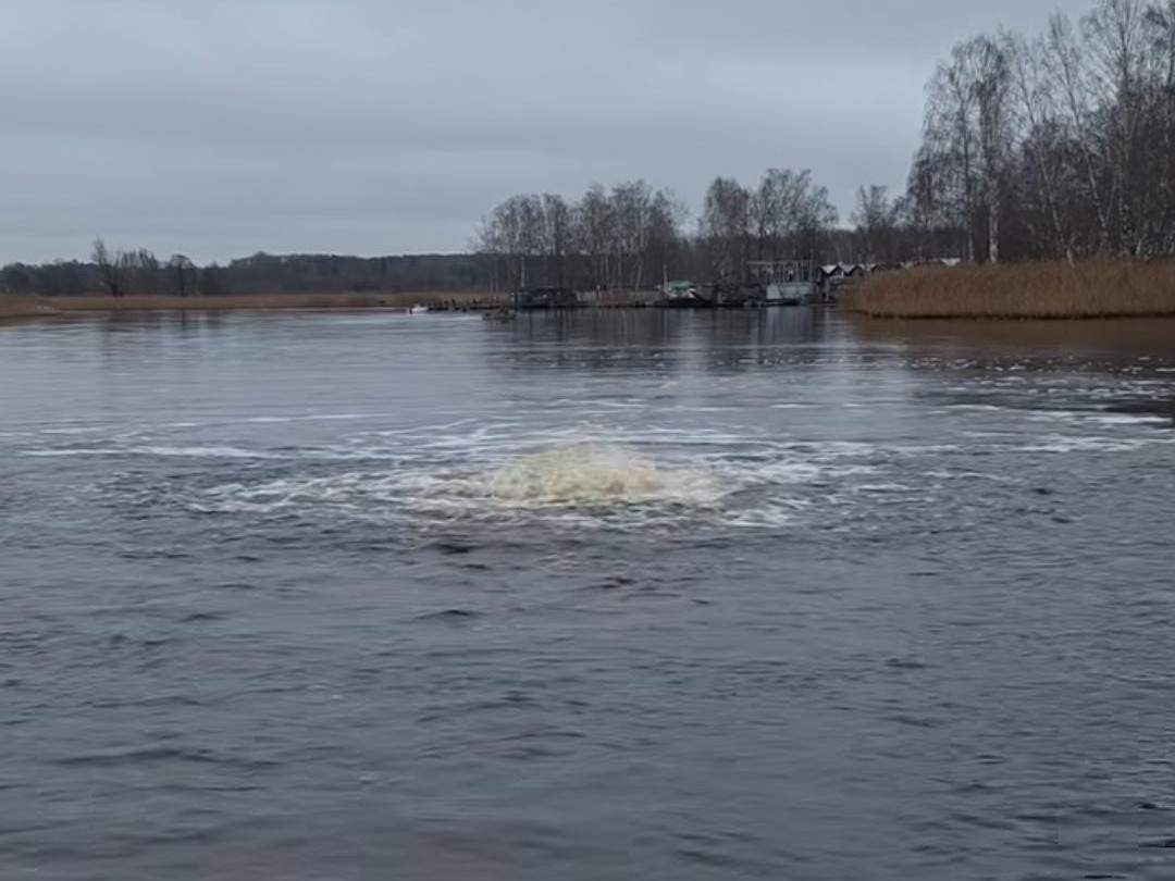 VIDEO. “Juglā iepeldējis valis vai NLO?” Ļaudis spriež, kas ir šī dīvainā parādība ūdenī
