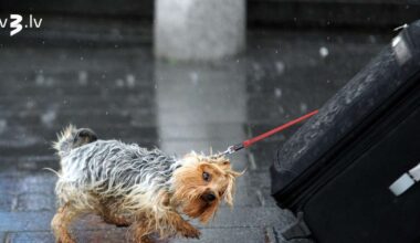 Otrā advente būs lietaina, un gaidāms arī slapjš sniegs - tv3.lv