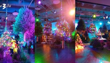 Burvju mežs, karuselis un balta ziema – Ziemassvētki PROTO pasaulē