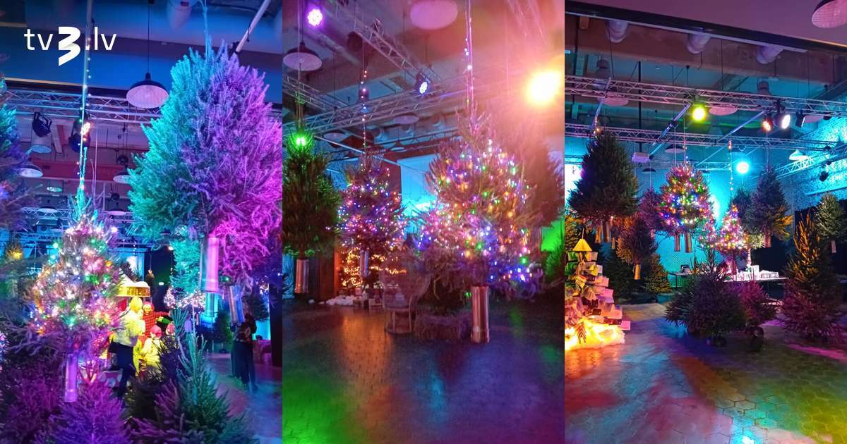 Burvju mežs, karuselis un balta ziema – Ziemassvētki PROTO pasaulē