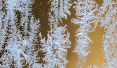 Naktī gaisa temperatūra daudzviet noslīdēs zem -20 grādiem / Diena