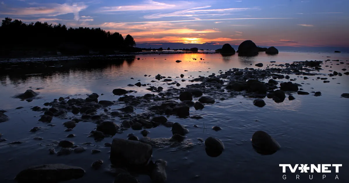 Dānijas-Latvijas kopuzņēmums Rīgas jūras līcī grib veidot foreļu audzētavas