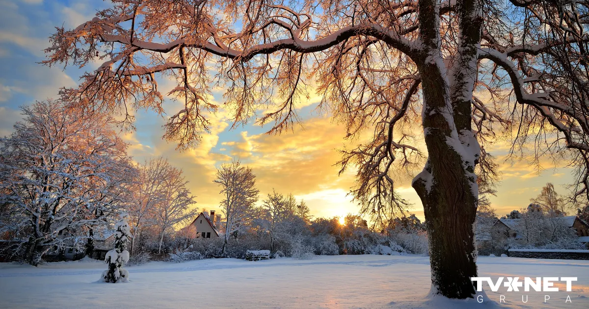 Šonakt gaidāms sals