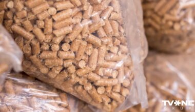 Lūdz ministrijai izvērtēt granulu cenu pamatotību un brīdina par krāpniekiem - Apollo.lv