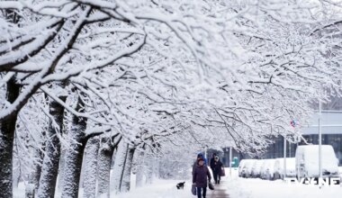 Trešdien auksts vējš putinās sniegu