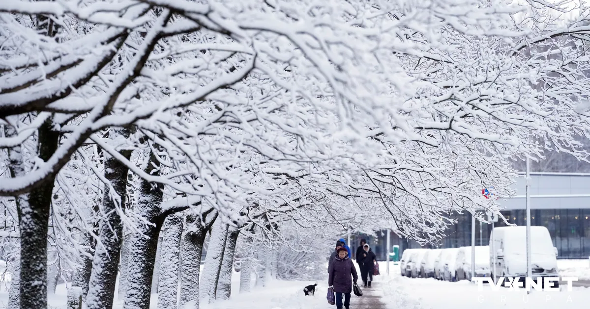 Trešdien auksts vējš putinās sniegu
