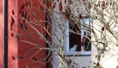 Novada teritorijas plānojumā precizēs Ķekavas un Baldones pilsētu robežas