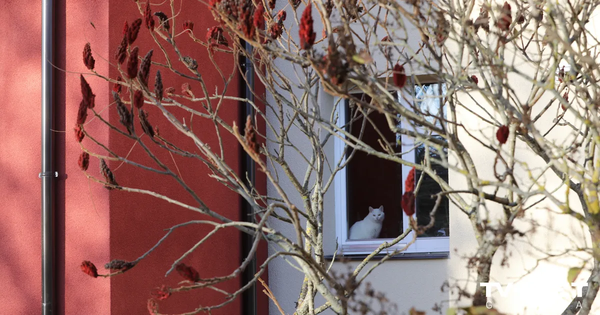 Novada teritorijas plānojumā precizēs Ķekavas un Baldones pilsētu robežas