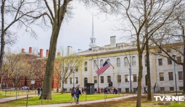 VIDEO ⟩ Valsts uzņēmumiem valdība prasa tērēt mazāk, pelnīt vairāk. "Latvijas autoceļu uzturētājs" valdes loceklei apmaksā mācības Hārvardā (2)
