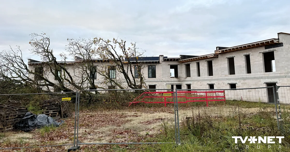 Mārupes dižozola lieta: prokuratūra iesniedz kasācijas sūdzību