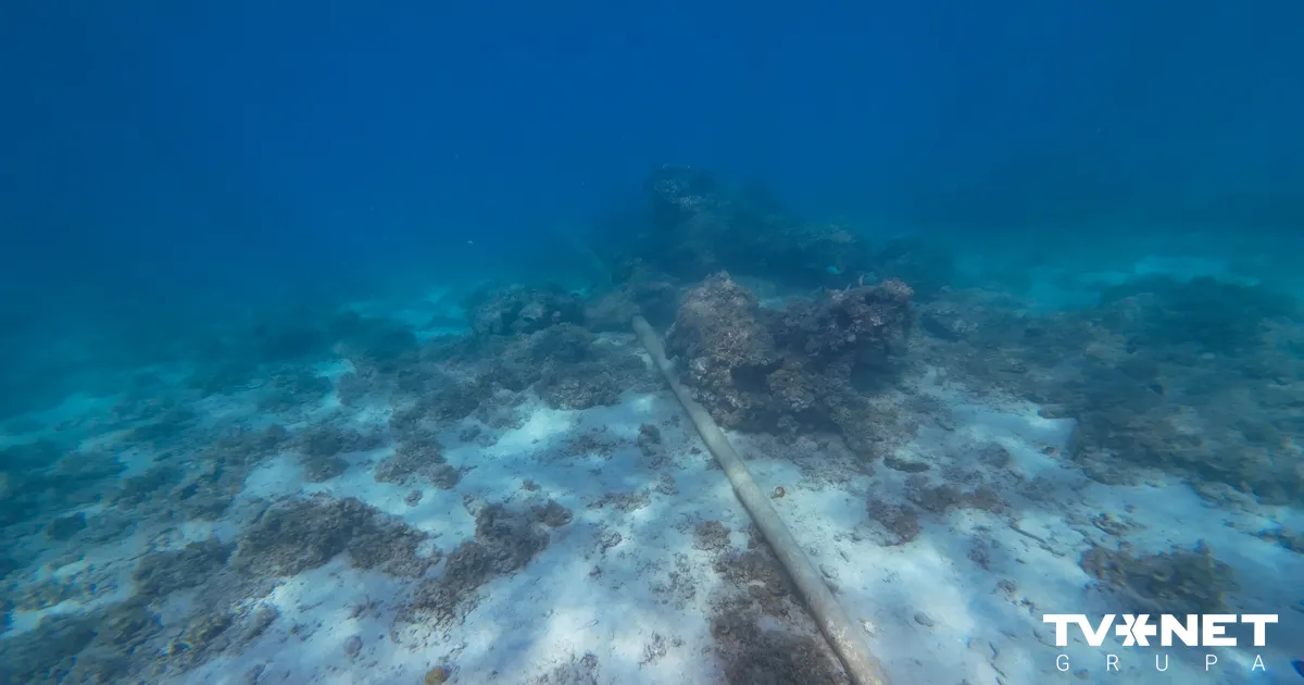 Policija neizslēdz iespēju, ka sakaru kabelis bojāts laikapstākļu ietekmē