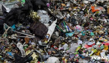 2026. gadā attīstību vēl izteiktāk noteiks ES politikas virziens