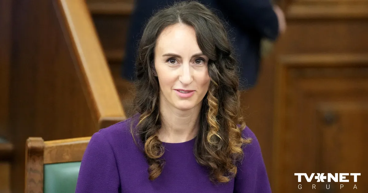 Krimināllikuma grozījumi nav piemērotākais risinājums dzimuma maiņas jautājumos, norāda Palkova