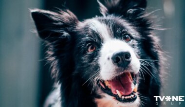 Horoskops trešdienai, 7. janvārim