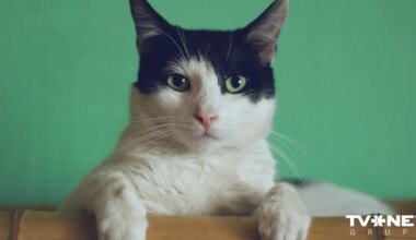 Horoskops piektdienai, 16. janvārim