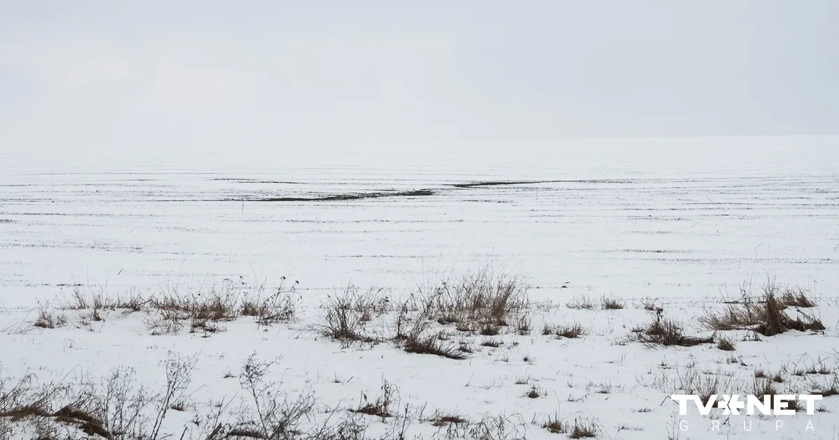 Trešdienas vakarā Kurzemē sāksies sniegputenis