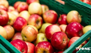 KP sāk pārkāpuma lietas par norēķinu kavējumiem augļu un dārzeņu iepircējiem