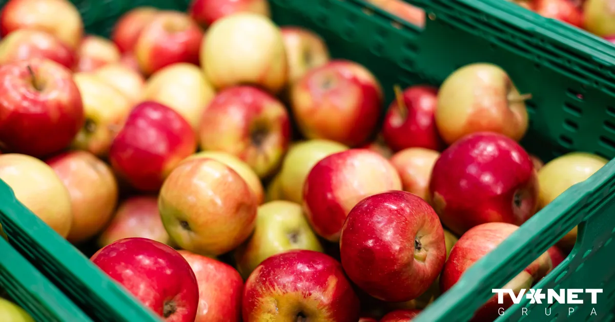 KP sāk pārkāpuma lietas par norēķinu kavējumiem augļu un dārzeņu iepircējiem