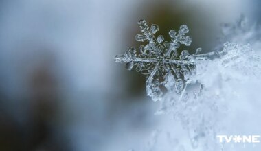 Horoskops piektdienai, 9. janvārim