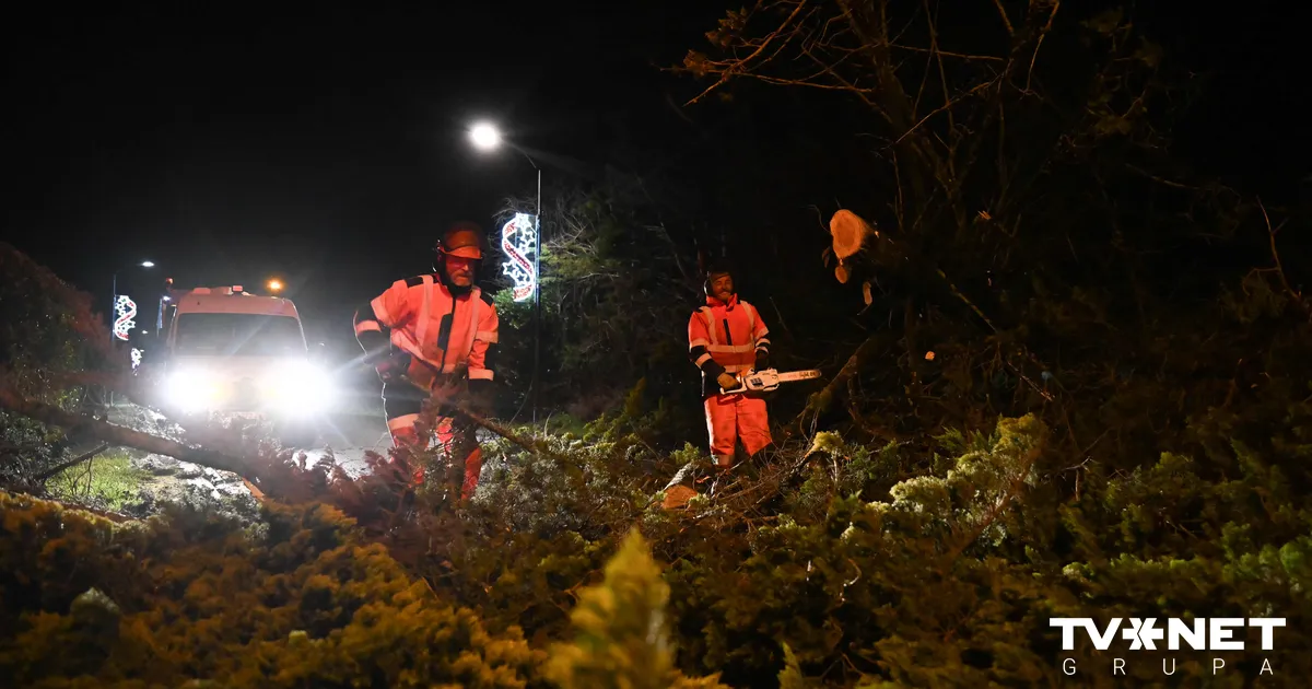 Francijā un Lielbritānijā sniega vētras dēļ tūkstošiem mājsaimniecību traucēta elektroapgāde