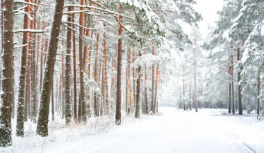 Vissliktākie braukšanas apstākļi sestdienas pusdienlaikā ir Kurzemē