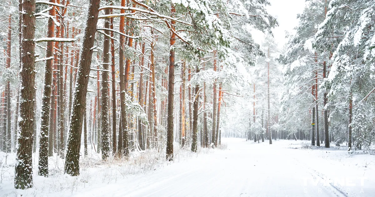 Vissliktākie braukšanas apstākļi sestdienas pusdienlaikā ir Kurzemē