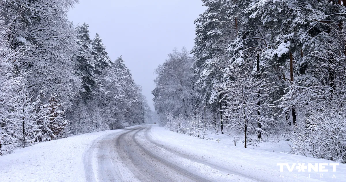 Igaunijā avarējis Kipras vīriešu handbola izlases autobuss