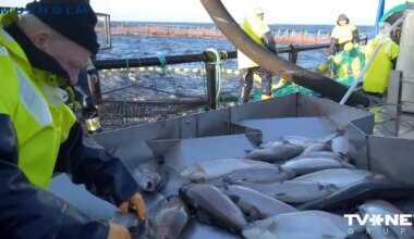 NOSKATIES ⟩ Dānijas – Latvijas kopuzņēmums Rīgas jūras līcī grib veidot foreļu audzētavas