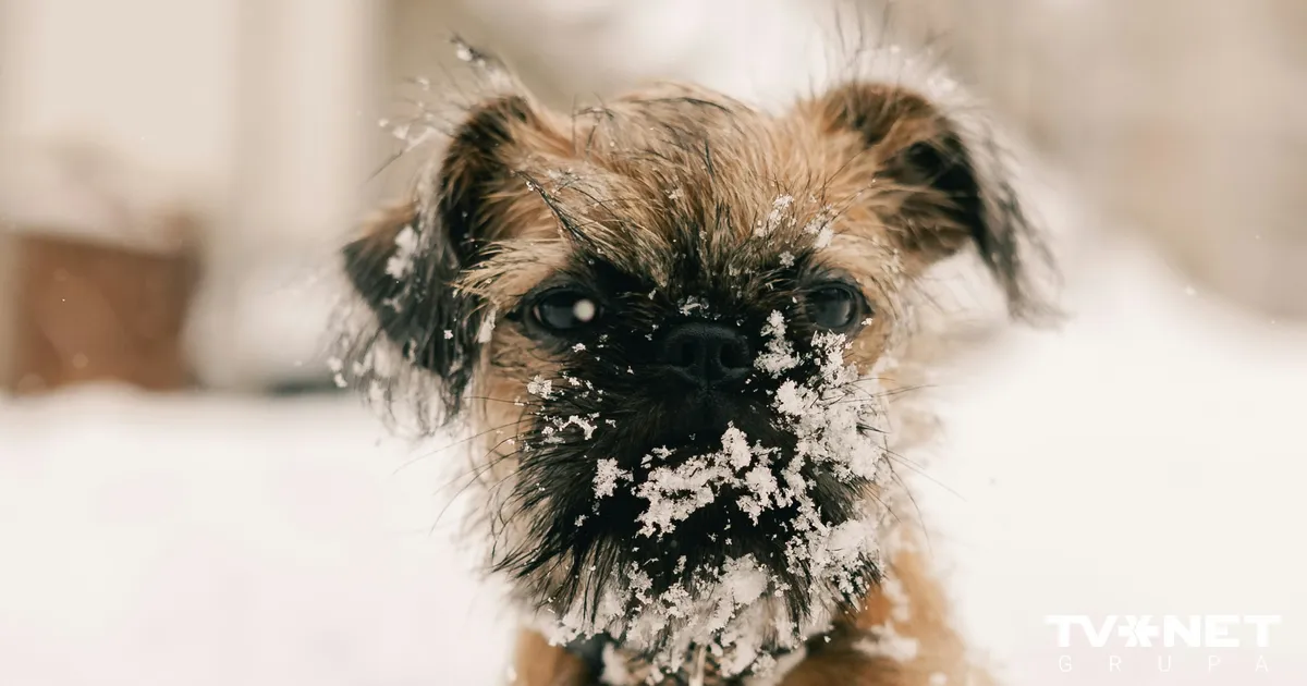 Horoskops trešdienai, 14. janvārim