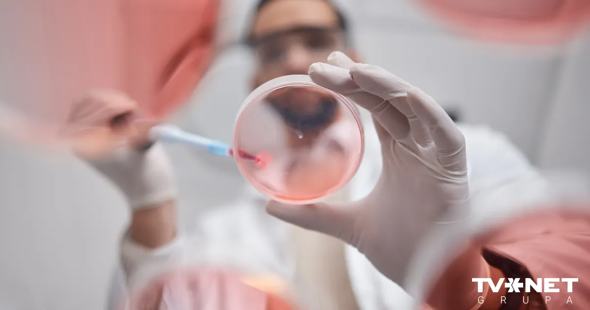 Zināmi gada nozīmīgākie sasniegumi Latvijas zinātnē