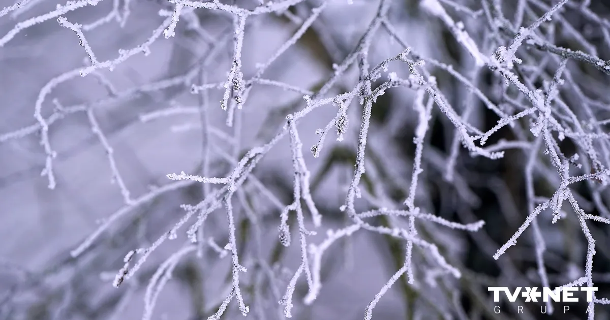 Sals atgriezīsies! Sagatavota laika prognoze nākamajai nedēļai